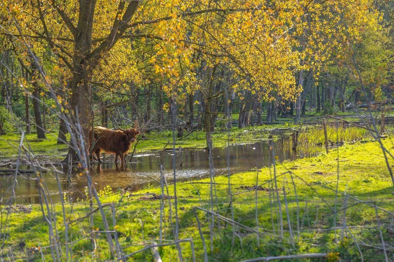 Europarcs Spaarnwoude Halfweg
